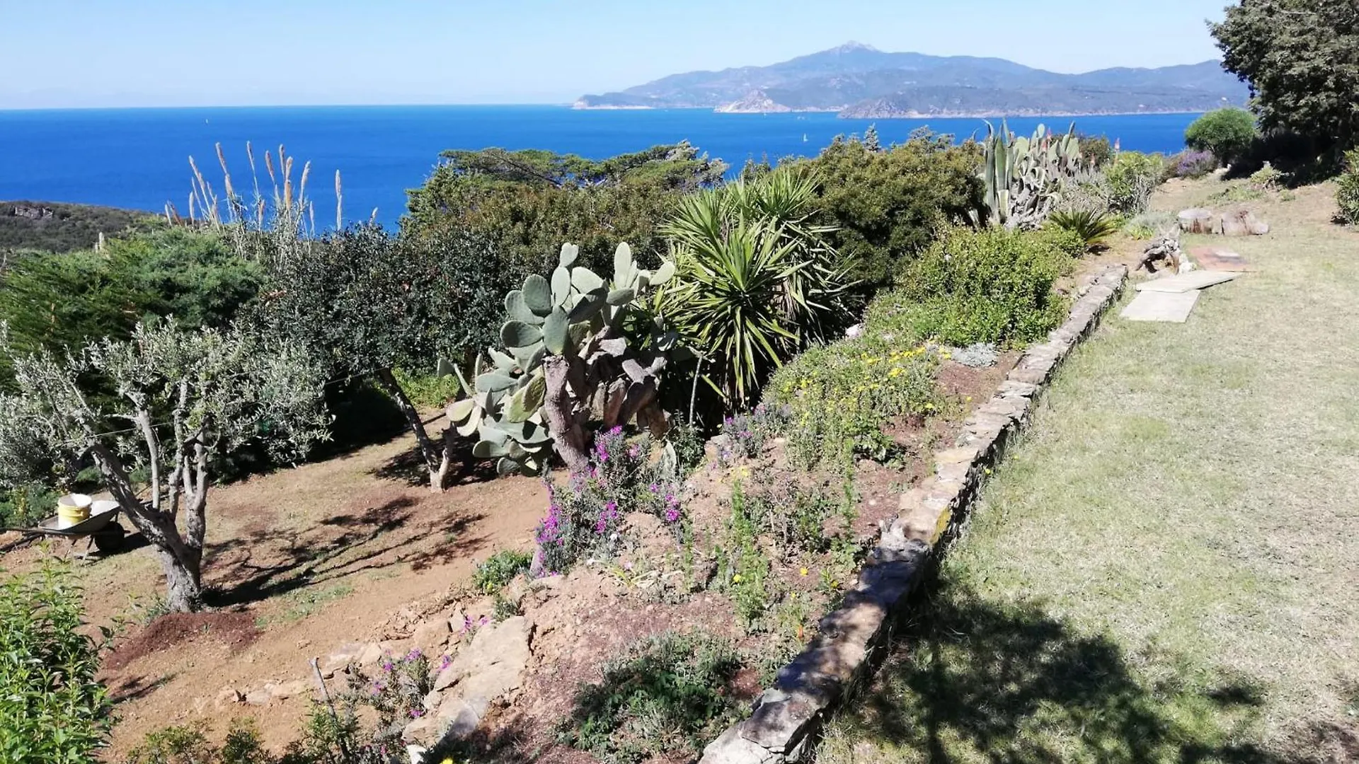 Apartment Casa Elisio Og Innamorata, Elba Palazzo