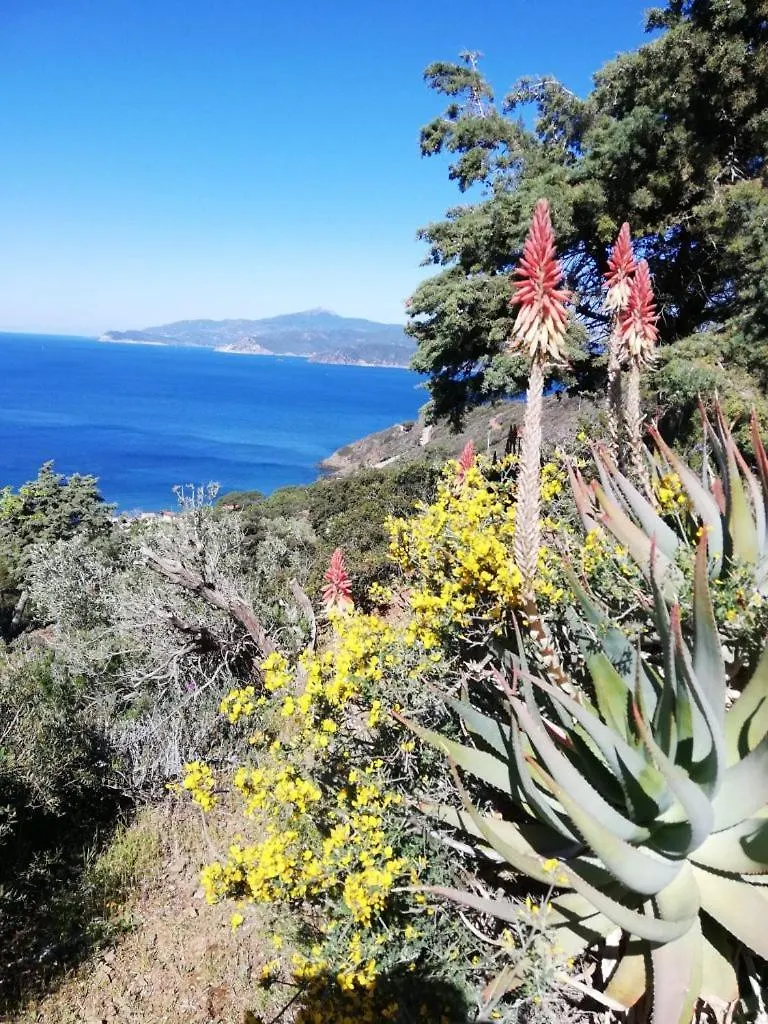 Apartment Casa Elisio Og Innamorata, Elba Palazzo